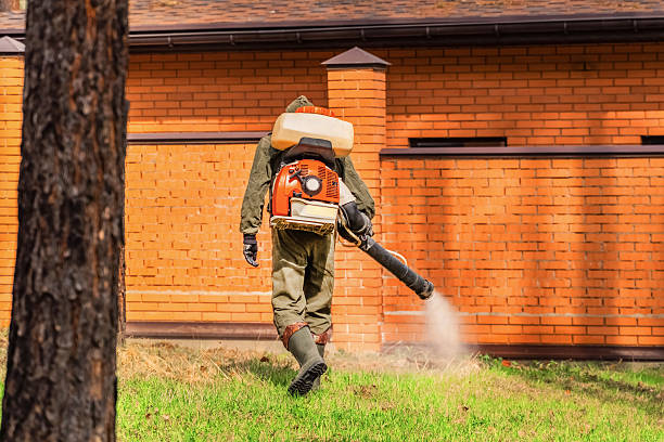 Trusted Rodent Control service in Lincoln Park, PA - Nex Pest Control